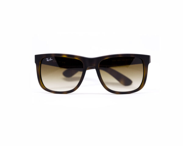 Rayban 4165 C71013